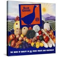 Blue Goose Poster-null-Stretched Canvas