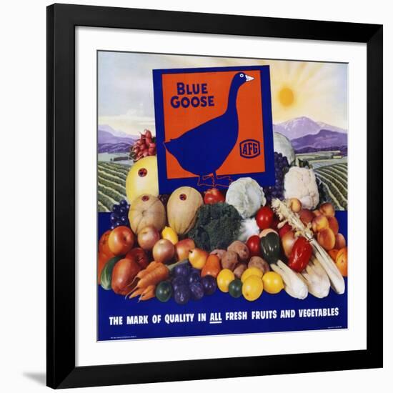 Blue Goose Poster-null-Framed Giclee Print