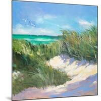 Blue Grass Breeze I-Jane Slivka-Mounted Premium Giclee Print