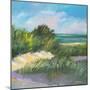 Blue Grass Breeze II-Jane Slivka-Mounted Premium Giclee Print