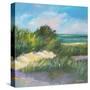 Blue Grass Breeze II-Jane Slivka-Stretched Canvas