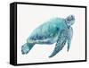 Blue Great Sea Turtle I-Jacob Q-Framed Stretched Canvas