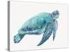 Blue Great Sea Turtle I-Jacob Q-Stretched Canvas