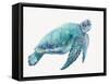 Blue Great Sea Turtle I-Jacob Q-Framed Stretched Canvas