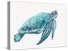 Blue Great Sea Turtle I-Jacob Q-Stretched Canvas