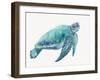 Blue Great Sea Turtle I-Jacob Q-Framed Art Print