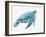 Blue Great Sea Turtle I-Jacob Q-Framed Art Print