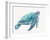 Blue Great Sea Turtle I-Jacob Q-Framed Art Print