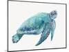 Blue Great Sea Turtle I-Jacob Q-Mounted Art Print