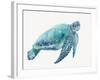 Blue Great Sea Turtle I-Jacob Q-Framed Art Print