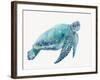 Blue Great Sea Turtle I-Jacob Q-Framed Art Print