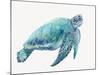 Blue Great Sea Turtle I-Jacob Q-Mounted Art Print