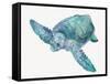 Blue Great Sea Turtle II-Jacob Q-Framed Stretched Canvas