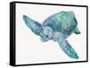 Blue Great Sea Turtle II-Jacob Q-Framed Stretched Canvas