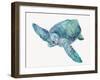 Blue Great Sea Turtle II-Jacob Q-Framed Art Print