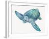 Blue Great Sea Turtle II-Jacob Q-Framed Art Print