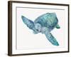 Blue Great Sea Turtle II-Jacob Q-Framed Art Print