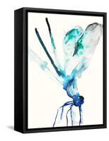 Blue & Green Dragonfly-Karin Johannesson-Framed Stretched Canvas