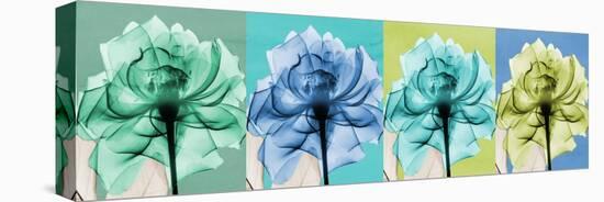 Blue Green Flowers 1-Albert Koetsier-Stretched Canvas