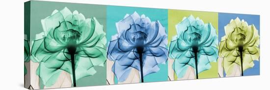 Blue Green Flowers 1-Albert Koetsier-Stretched Canvas