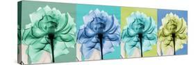 Blue Green Flowers 1-Albert Koetsier-Stretched Canvas