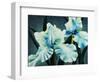 Blue Green Iris-Kari Taylor-Framed Giclee Print