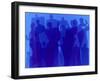 Blue Group-Diana Ong-Framed Giclee Print