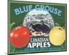 Blue Grouse Canadian Apples-null-Mounted Art Print