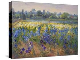 Blue Haze at Burgate, 1993-Timothy Easton-Stretched Canvas