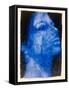 Blue Head, 1998-Graham Dean-Framed Stretched Canvas