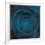 blue heart-Viviane Fedieu Danielle-Framed Photographic Print