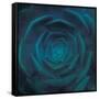 blue heart-Viviane Fedieu Danielle-Framed Stretched Canvas