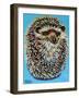 Blue Hedgehog-Carolee Vitaletti-Framed Art Print