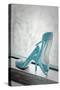 Blue Heels-Erin Berzel-Stretched Canvas