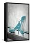 Blue Heels-Erin Berzel-Framed Stretched Canvas