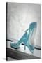 Blue Heels-Erin Berzel-Stretched Canvas