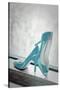 Blue Heels-Erin Berzel-Stretched Canvas