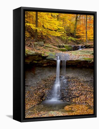 Blue Hen Falls-PHBurchett-Framed Stretched Canvas