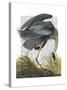 Blue Heron 1-Fab Funky-Stretched Canvas