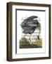 Blue Heron 1-Fab Funky-Framed Art Print