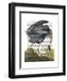 Blue Heron 1-Fab Funky-Framed Art Print