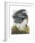 Blue Heron 1-Fab Funky-Framed Art Print