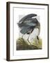 Blue Heron 1-Fab Funky-Framed Art Print