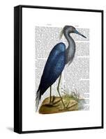 Blue Heron 2-Fab Funky-Framed Stretched Canvas