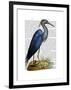 Blue Heron 2-Fab Funky-Framed Art Print