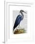 Blue Heron 2-Fab Funky-Framed Art Print