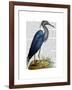 Blue Heron 2-Fab Funky-Framed Art Print