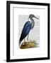 Blue Heron 2-Fab Funky-Framed Art Print