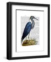 Blue Heron 2-Fab Funky-Framed Art Print