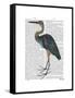Blue Heron 3-Fab Funky-Framed Stretched Canvas